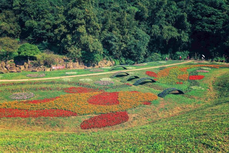 內湖大溝溪生態治水園區環境生態豐富，距捷運大湖公園站步行約10分鐘即可到達。（圖／台北市政府工務局水利處提供）