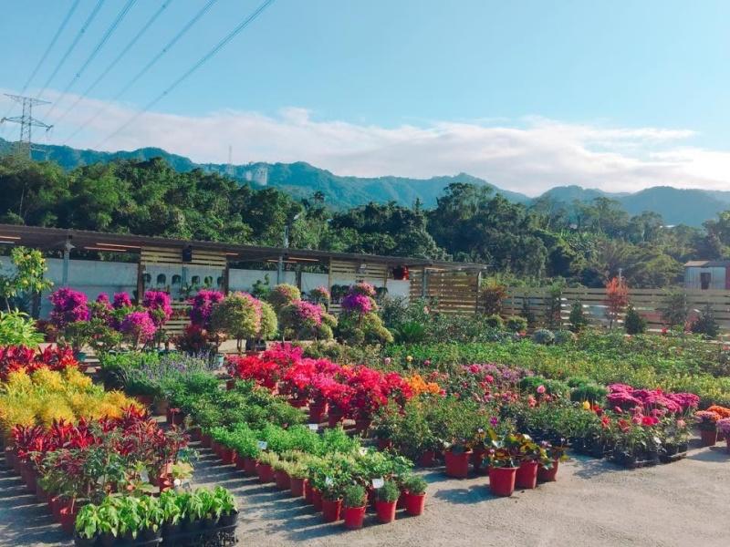 搭乘安坑輕軌逛花市，採買園藝用品、欣賞繽紛的植栽花卉。（圖／翻攝自雙城花市FB）