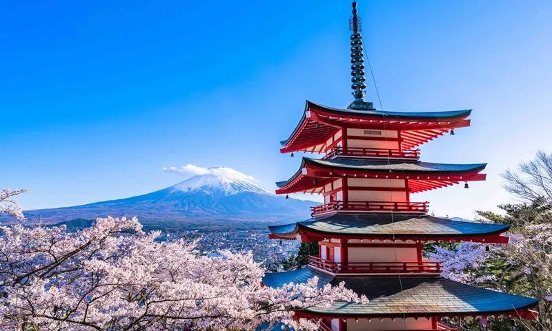 從新倉淺間神社的五層寶塔欣賞富士山、整個城市和盛開的櫻花全景。（圖／klook提供）