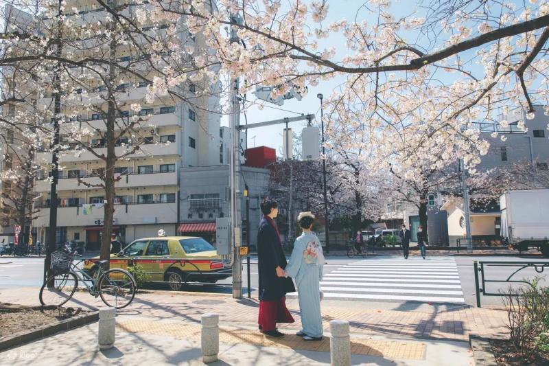 旅客可沿途欣賞淺草櫻花街景，或來到周邊的隅田公園，輕鬆拍出網美大片。（圖／klook提供）