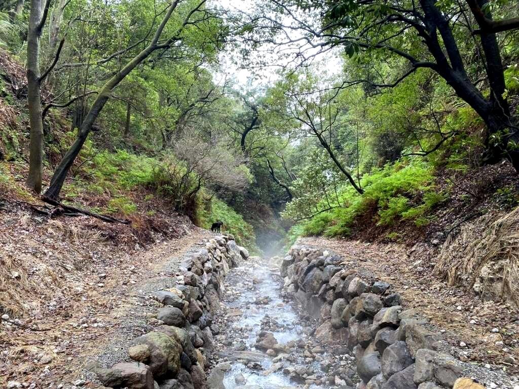 紫明溪採砌石護岸。（圖／北市政府工務局大地處提供）