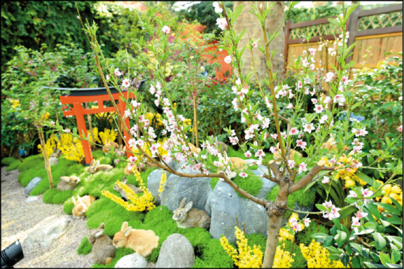 「花穹」溫室移植來自日本的櫻花，讓遊客不用遠赴百里外的東洋，就能一睹櫻花嬌羞芳澤。
