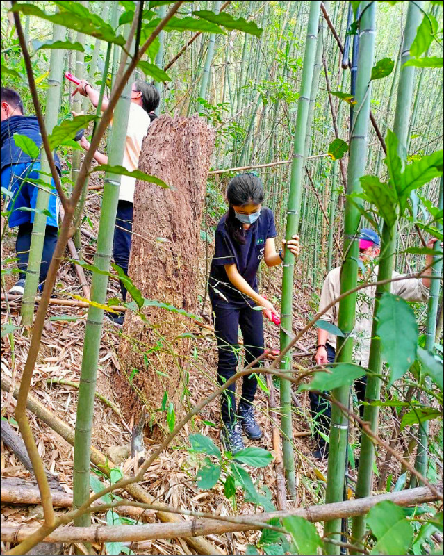 賞螢前的農事採集體驗，是很受歡迎的親子活動。（大地農場提供）