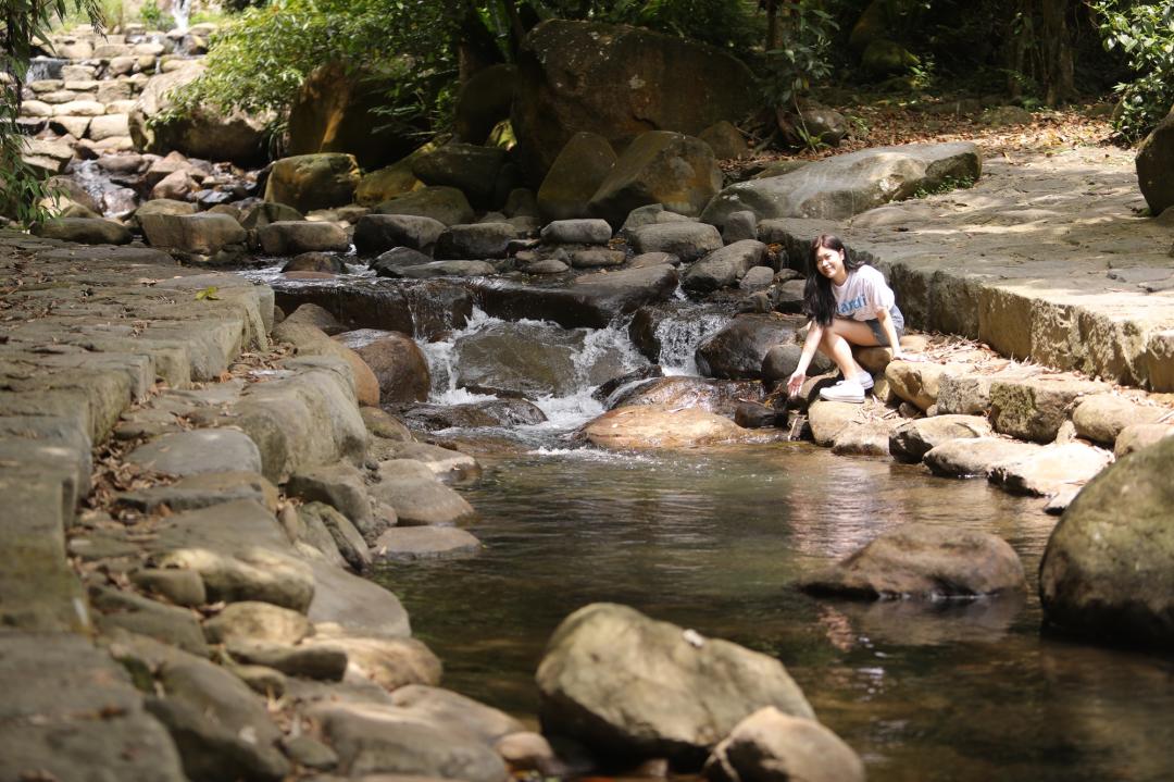 福田園教育休閒農場山林環繞充滿綠意，園區能體驗走吊橋，夏天還可親溪戲水。（記者鄭世樺攝）