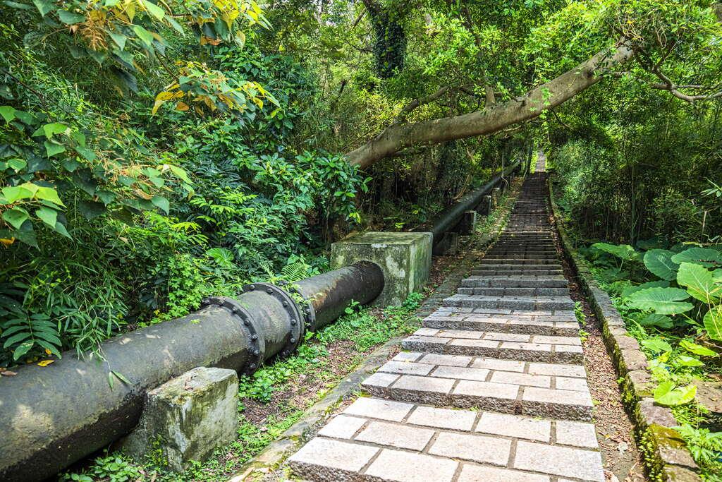 天母步道旁的大水管成為登山必拍的打卡地標。（圖／翻攝自台北旅遊網）