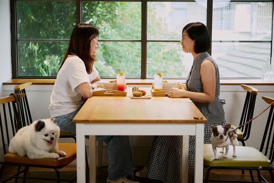 這款「即食餐包」寵物、小孩、大人都能吃！台南餐廳×毛孩鮮食品牌推親寵料理
