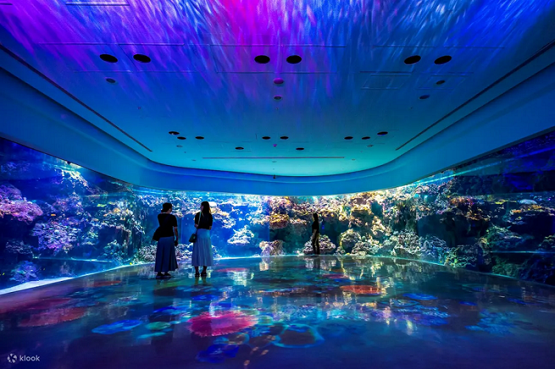 即日起至8月27日，Xpark水族館特別推出夏日夜間限定的七夕特典星光限定場。（圖／Klook提供）