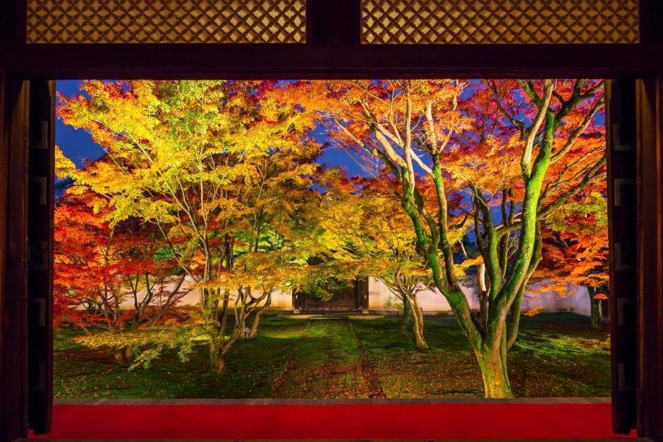 日本京都４大賞楓名園夜間點燈了！車站寄存行李「空手觀光」更方便