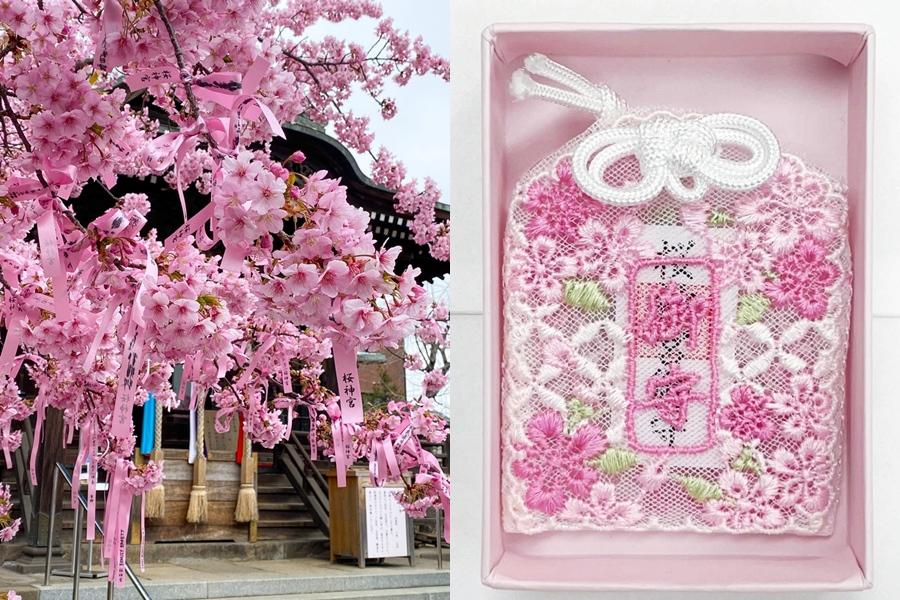 日本隱藏版賞櫻打卡點！粉色祈願緞帶飄揚神社、櫻花蕾絲御守必收藏