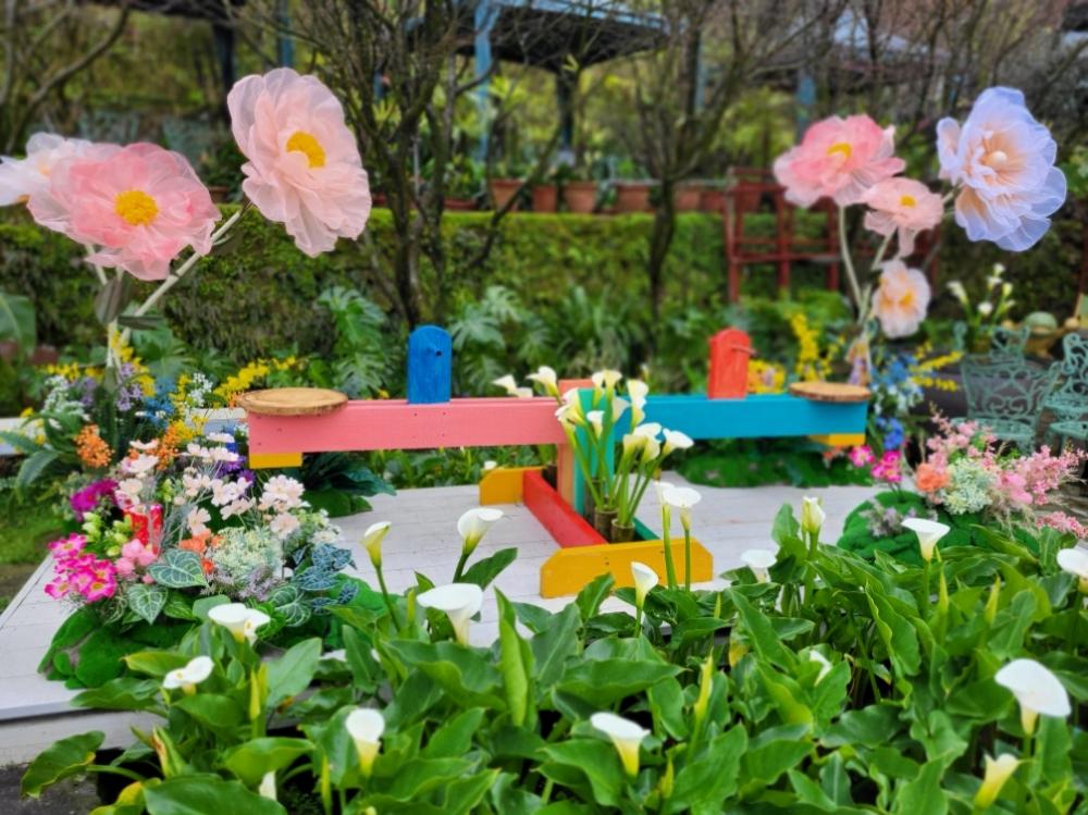 「大梯田花卉生態農園」打造繽紛的翹翹板花海造景。（圖／台北市農會提供）