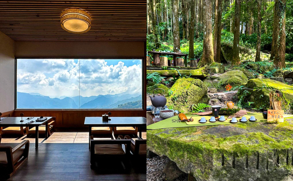 嘉義避暑品茗路線！預約最美森林茶席、日式茶屋擁大面窗景看雲海