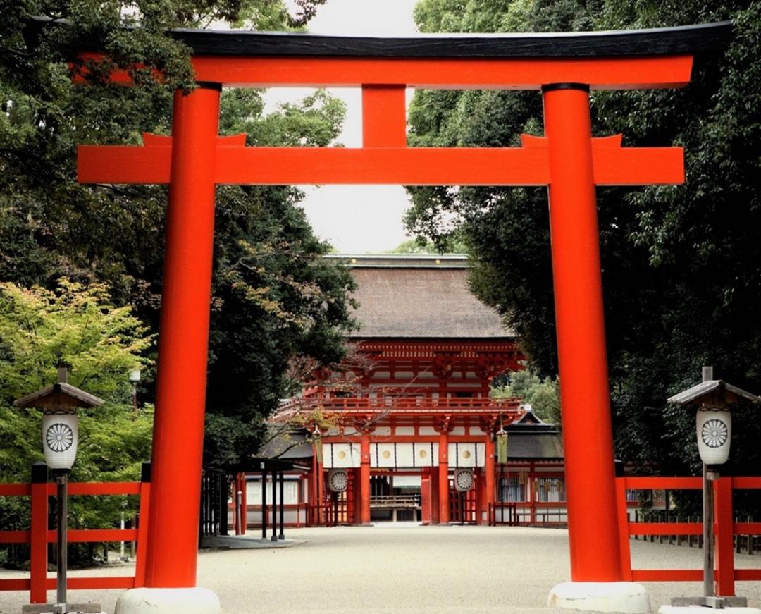 京都新推觀光特急巴士紓解人潮！暑假限時公開８處世界遺產隱藏空間
