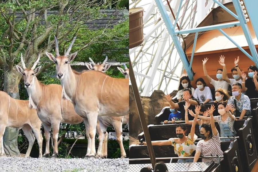 樂園優惠慶奪金》姓名含任一字享六福村門票299元！兒童新樂園免費入園