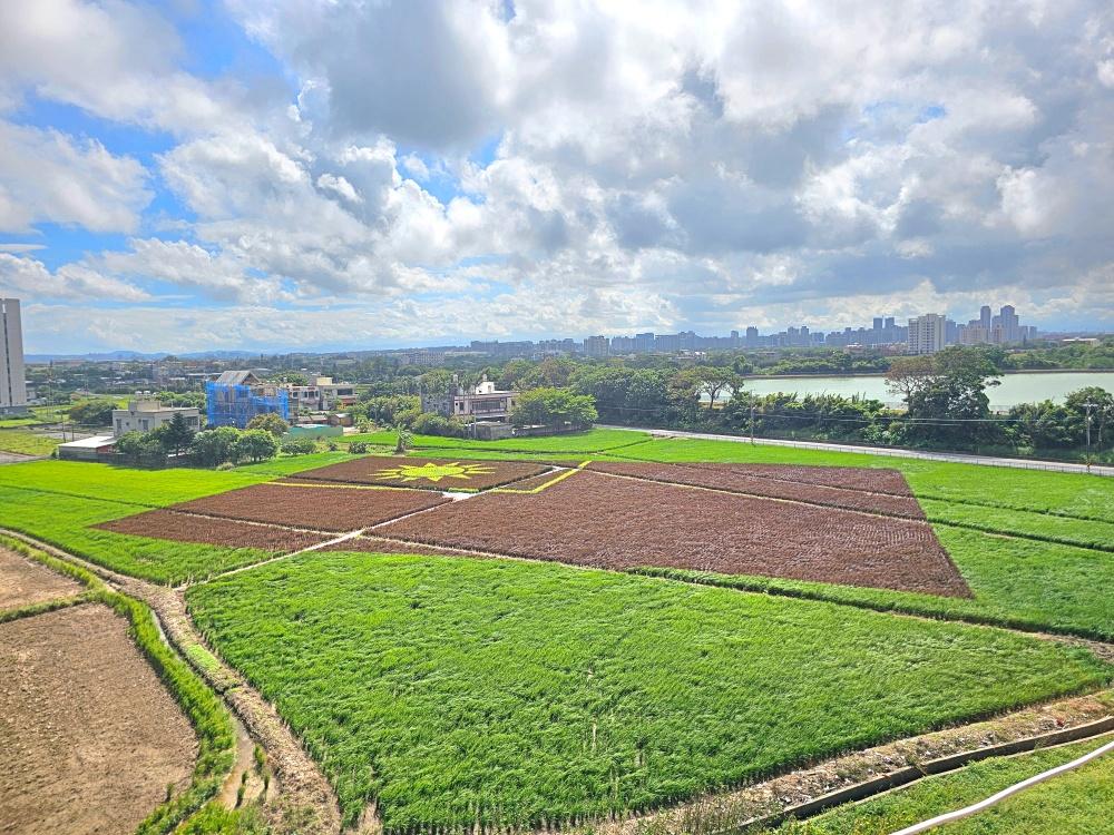 彩繪稻田融入桃園、大園及雙十等意象，其中有一幅超過千坪的彩稻國旗特別應景。（圖／農業局提供）