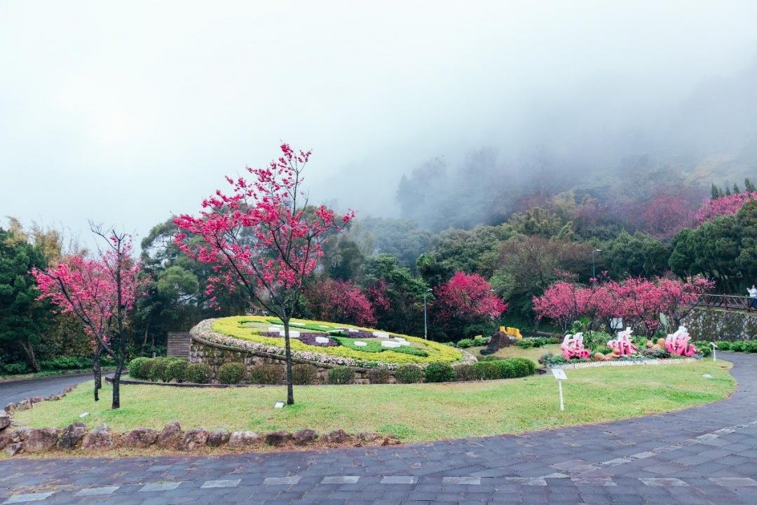 陽明公園每年花季吸引大批遊客到訪，陽明山花鐘更是上山必訪重要地標。（圖／台北市政府觀光傳播局提供）