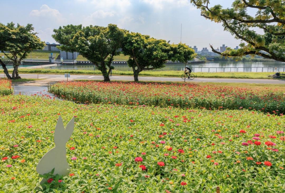 百日草花海在綠意盎然的河濱公園更顯美麗，可搭配可愛的小動物看板拍照。（圖／台北市政府工務局水利工程處提供）