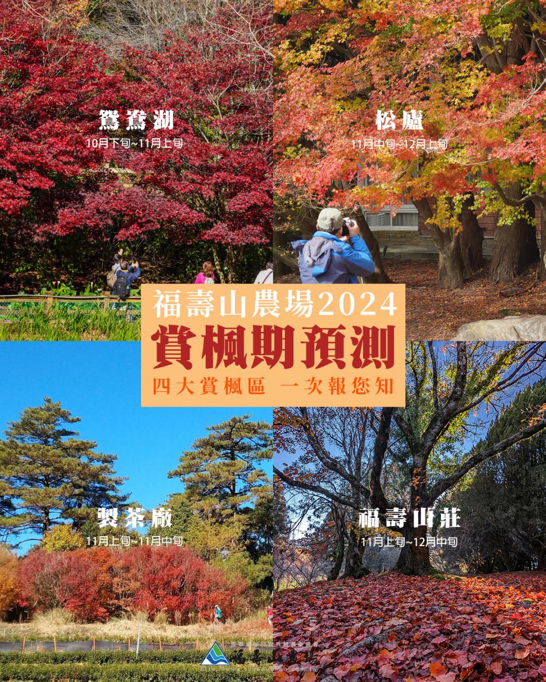 福壽山農場公布園區內的4大賞楓區預測期，約從10月下旬至11月上旬。（圖／翻攝自福壽山農場FB）