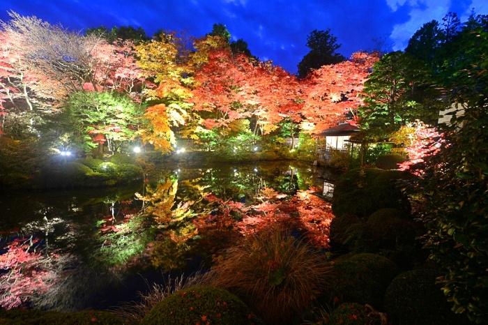 在世界遺產「日光山輪王寺」中的紅葉勝地「逍遙園」，欣賞日式庭園點燈。（圖／日本栃木縣 台灣代理處提供）