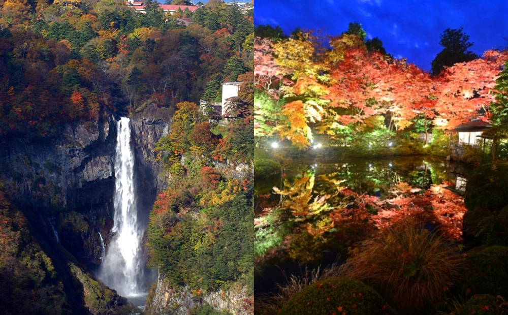 日本栃木縣楓葉季夢幻點燈！日式庭園、壯觀名瀑感受夜間浪漫之美