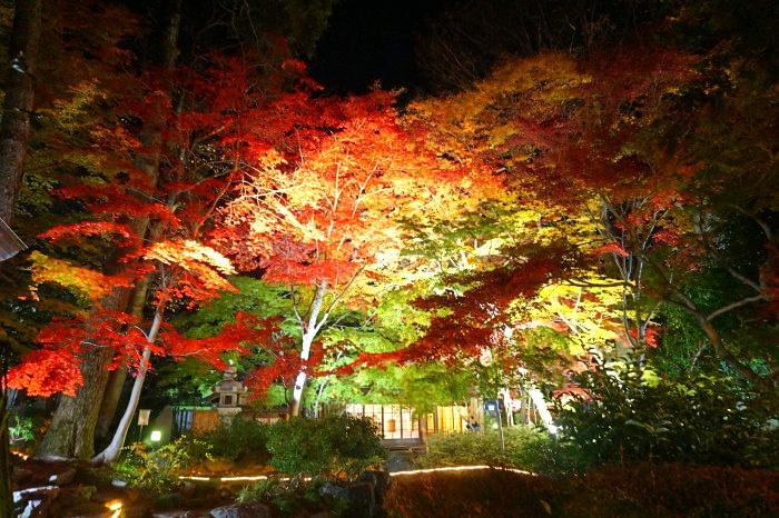 「屋台之町中央公園」每年11月下旬為賞楓旺季。（圖／日本栃木縣 台灣代理處提供）