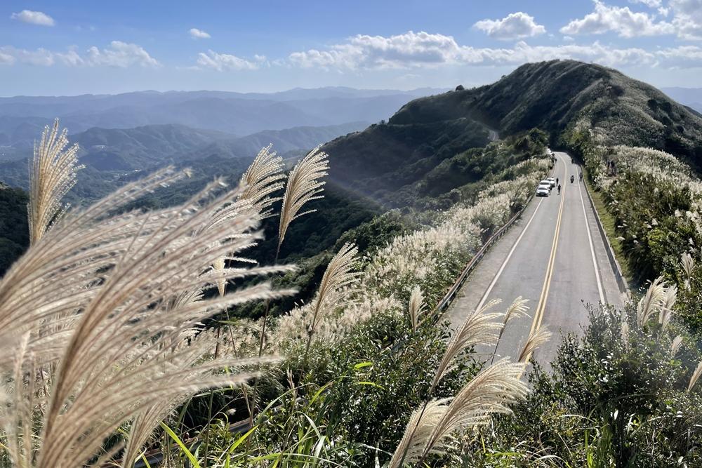 不厭亭拍攝芒花與公路相映的壯麗景色最為推薦。（圖／新北觀遊局提供）