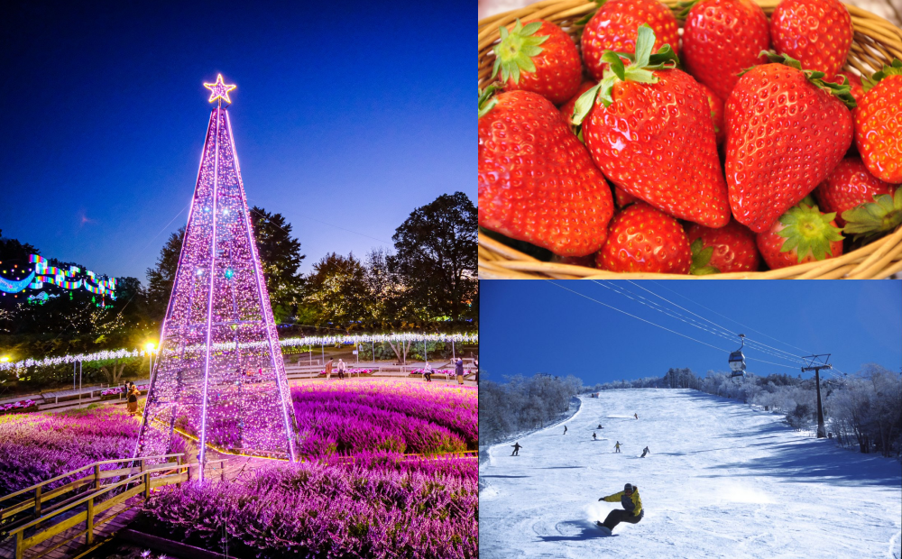 日本「光之花庭園」燈光秀絕美登場！冬季泡溫泉、採草莓一次滿足