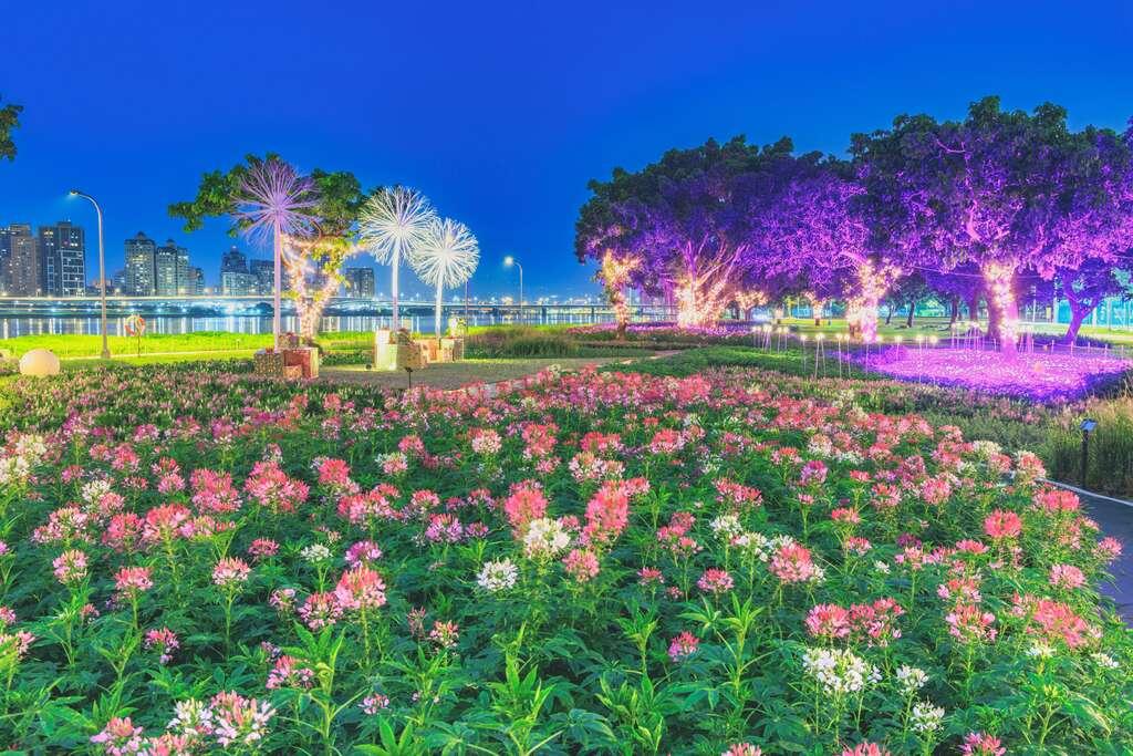 延平河濱花海草地鋪設紫藍色系的草網燈，增加夜間浪漫氛圍。（圖／台北市政府工務局水利工程處提供）