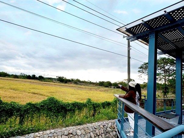 大業路新出爐自行車道，從稻田到公園無限暢遊。（圖／北市工務局提供）