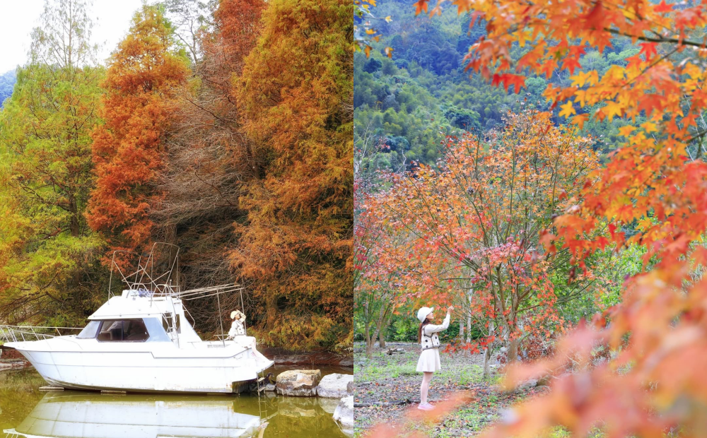 紅楓落羽松、水池遊艇一起拍！新竹峇里島風溫泉度假村免門票賞景