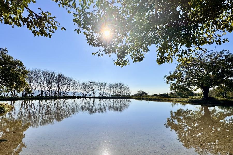 位於北八鄉道（奎柔山路）4.5公里處的「三芝田心」，曾是一處睡蓮濕地。（記者羅國嘉攝）