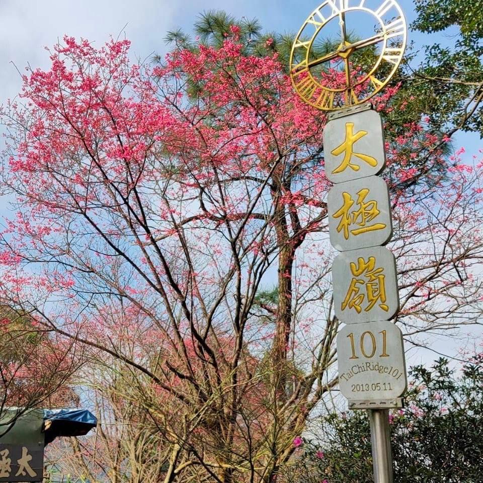 嶺上有一座101階入口意象，象徵健康財富，成為土城的登山熱門路線。（圖／翻攝自新北市土城區公所FB）