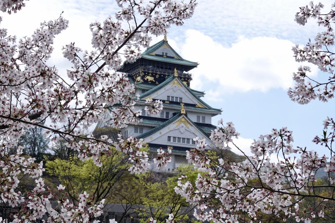 日本賞櫻野餐攻略！櫻花主題美食、推薦公園場地、必知禮節體驗完美「花見」