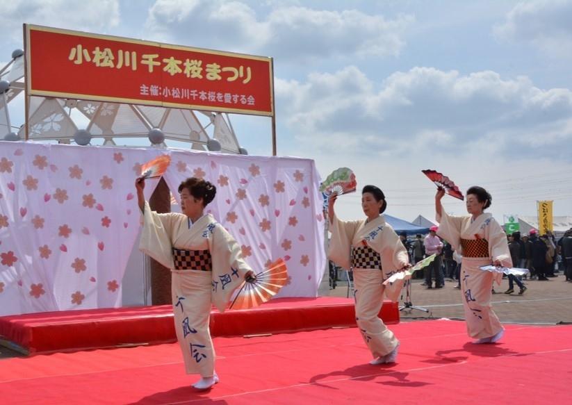 日本櫻花提前開了！東京３處私房景點賞早春河津櫻、２公里花海長廊
