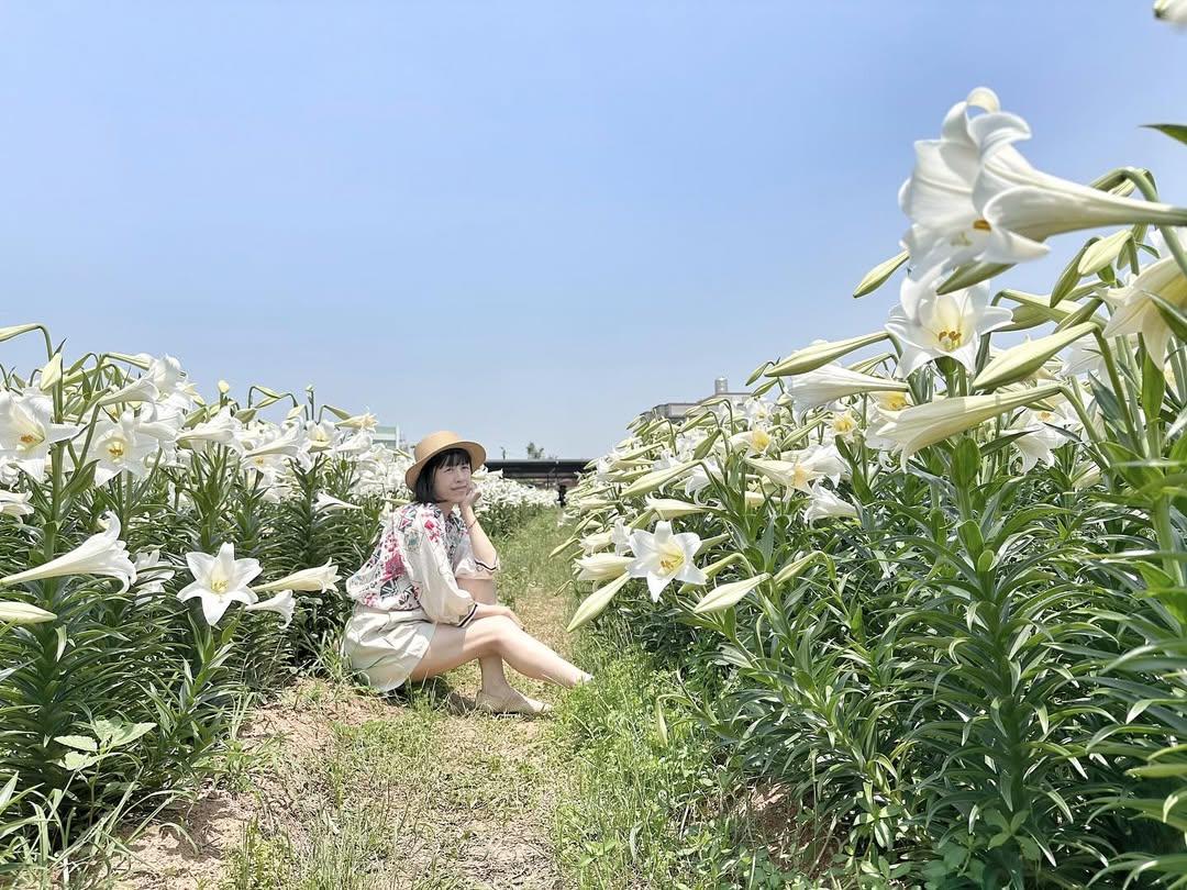 「白千層鐵砲百合花園」即將迎來滿開，純白花海相當夢幻。（圖／IG@am__bi__bi提供）