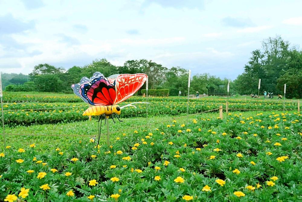 展區「搖擺一夏」以情人菊與孔雀草鋪展出一片繽紛的黃色花毯，搭配蝴蝶造型燈飾，營造生動活潑的夏日風情。（圖／新北市政府高灘地工程管理處提供）