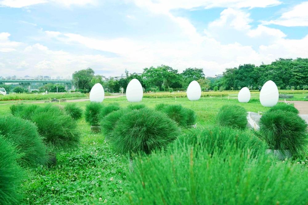 展區「滾滾花丘」木麻黃錯落堆疊，打造童趣十足的綠色山丘，與該區的藝術裝置《幻影泡泡》相映成趣。（圖／新北市政府高灘地工程管理處提供）