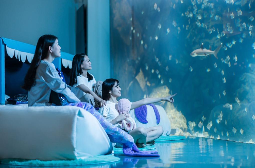 親子暢遊推薦入住水族館體驗Blu Night夜探行程。（圖／飯店提供）