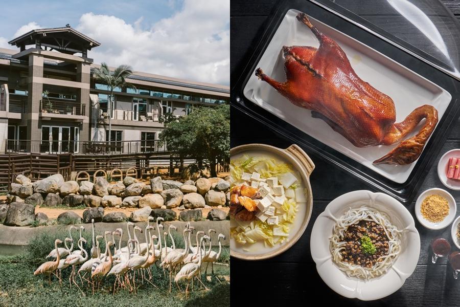 入住動物園飯店31折、飯店吃到飽750元起！六福旅遊集團夏季線上旅展開跑