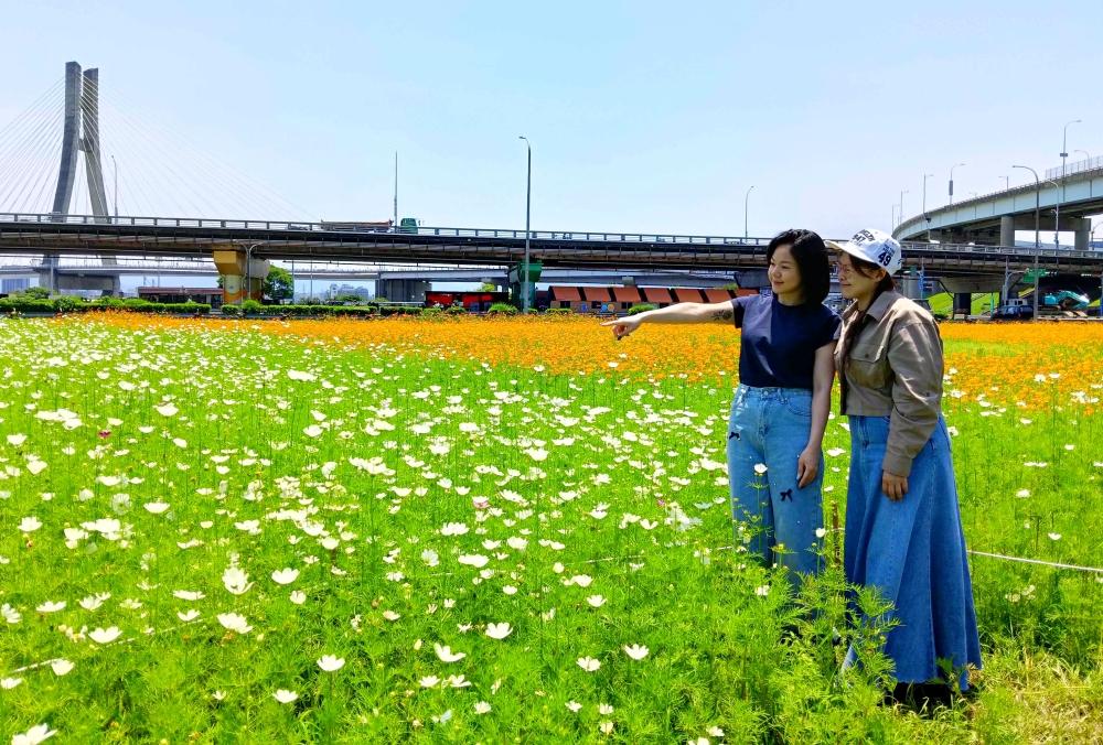 新北大都會公園幸福水漾園區以「春日漫步夢幻花園」主題花海呈現。（圖／新北市政府高灘地工程管理處提供）