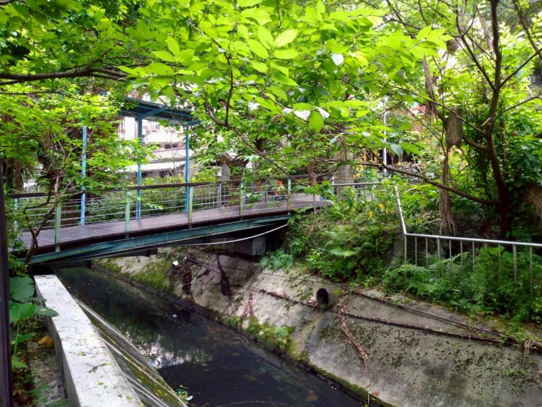 隱藏在台北市區的消暑親水秘境!「神大排」美化升級、納涼免舟車勞頓 隱藏在台北市區的消暑親水秘境!「神大排」美化升級、納涼免舟車勞頓