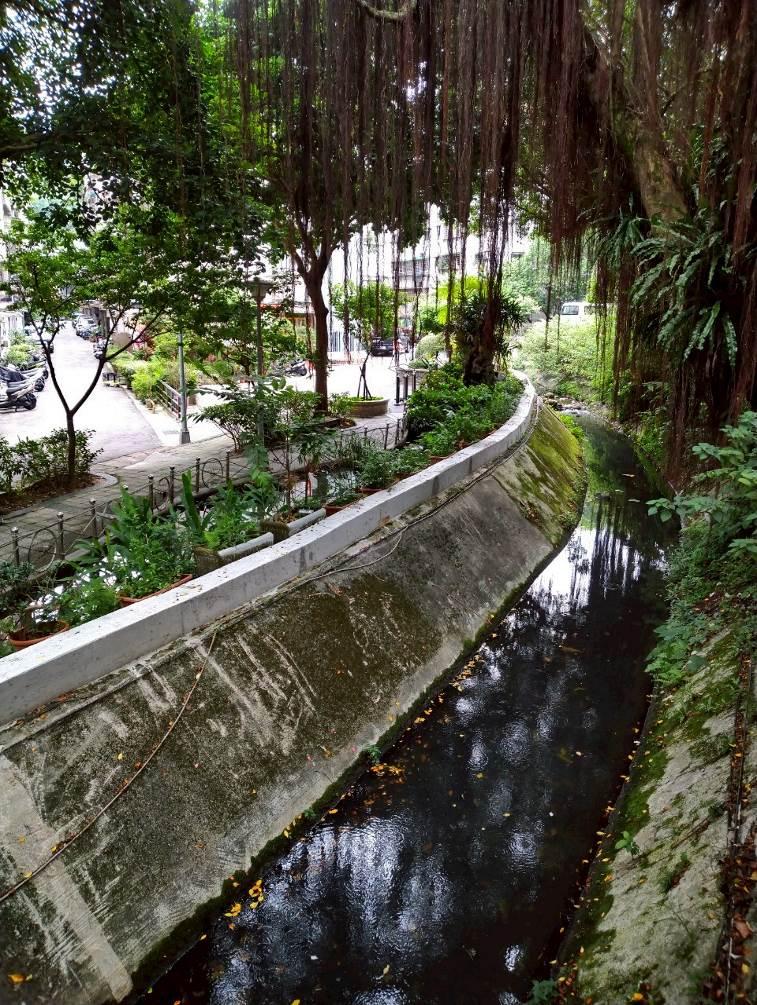 透過綠美花喚起在地居民往昔「我家門前有小河」的懷想。（圖／台北市政府工務局公園路燈工程管理處提供）