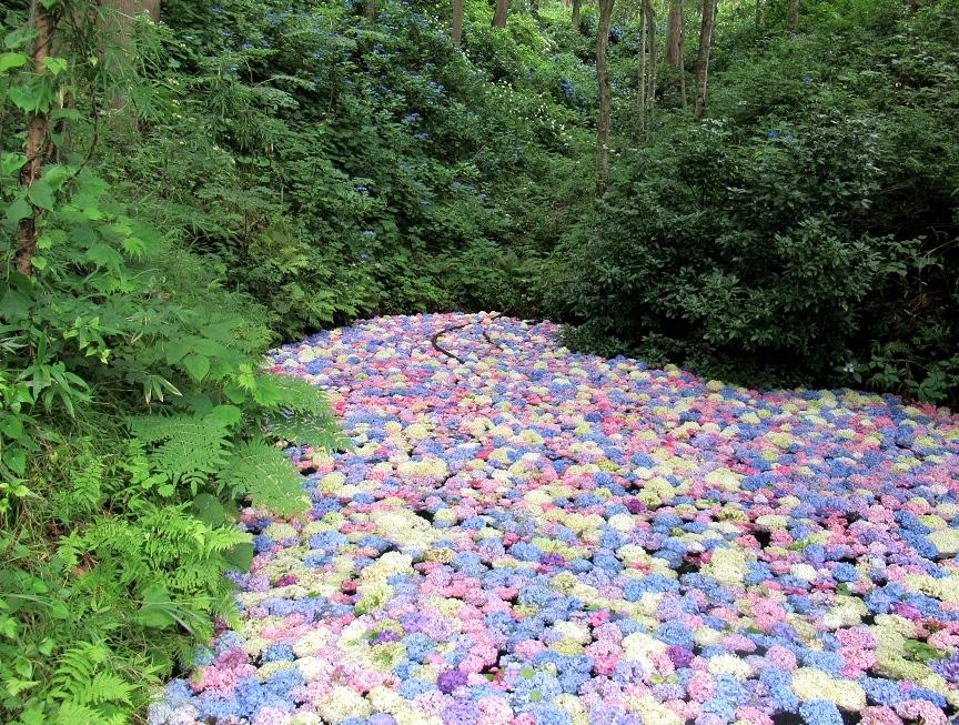 日本繡球花景點10選！「紫陽花池」比花手水更壯觀、花海同框瀨戶內海美到7月