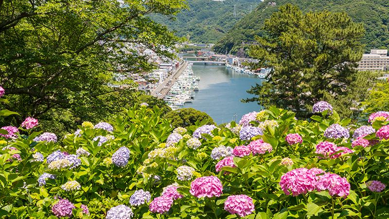 日本繡球花景點10選！「紫陽花池」比花手水更壯觀、花海同框瀨戶內海美到7月