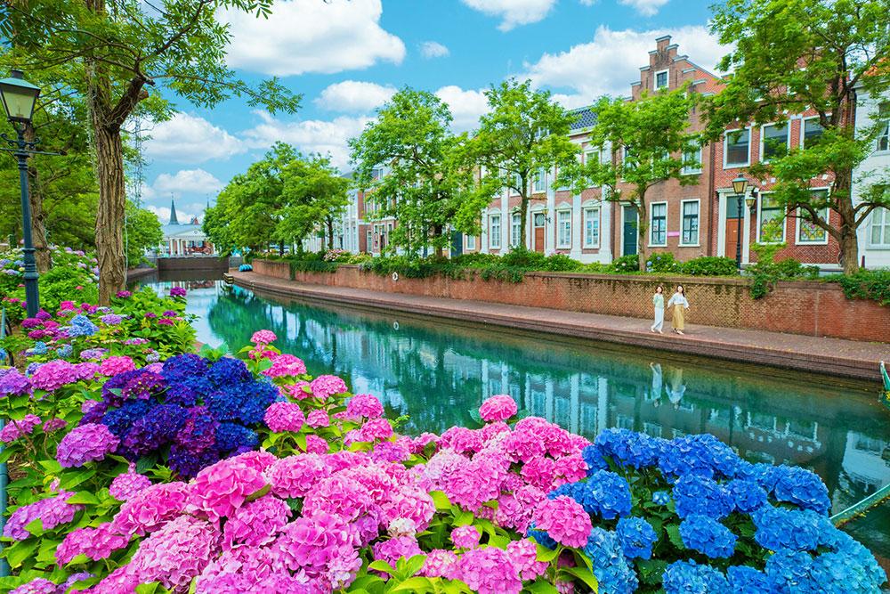 日本繡球花景點10選！「紫陽花池」比花手水更壯觀、花海同框瀨戶內海美到7月
