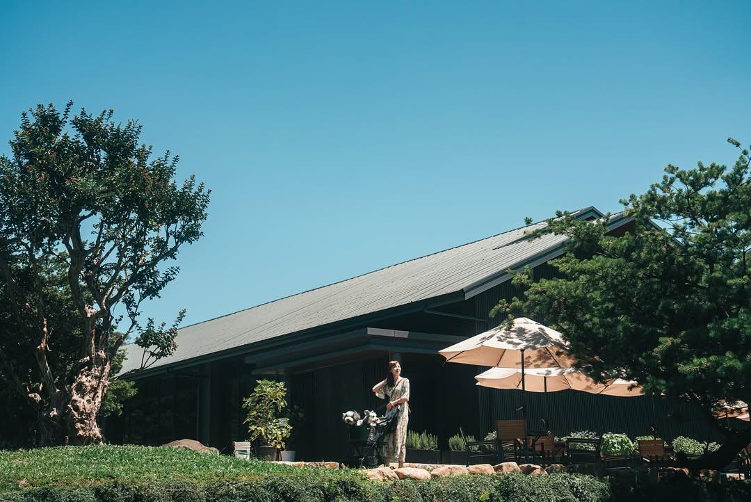 座落於新北淡水的「晴花鹿苑」，園區籌備5年時間，將日式禪風庭園結合鹿角蕨，打造夢幻的世外桃源。（圖／IG@pipigfpipidog.ajung提供）