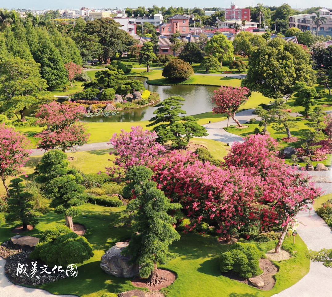夢幻紫薇花點綴整座園區，陽光灑落、花香瀰漫。（圖／成美文化園提供）