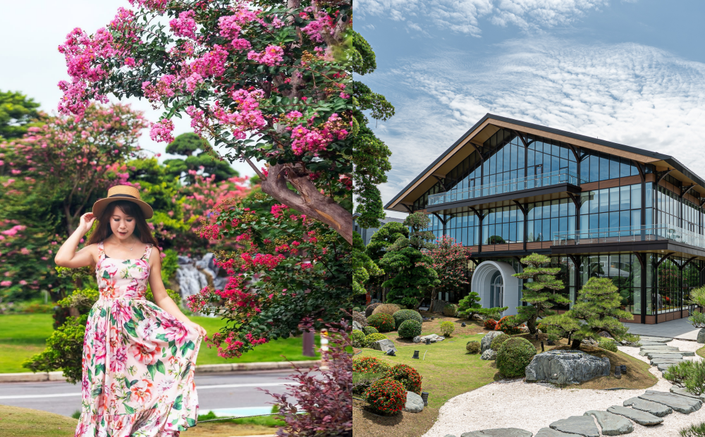 彰化「紫薇花海」粉嫩滿開！古厝庭園暗藏絕美婚宴場地、增添浪漫氛圍