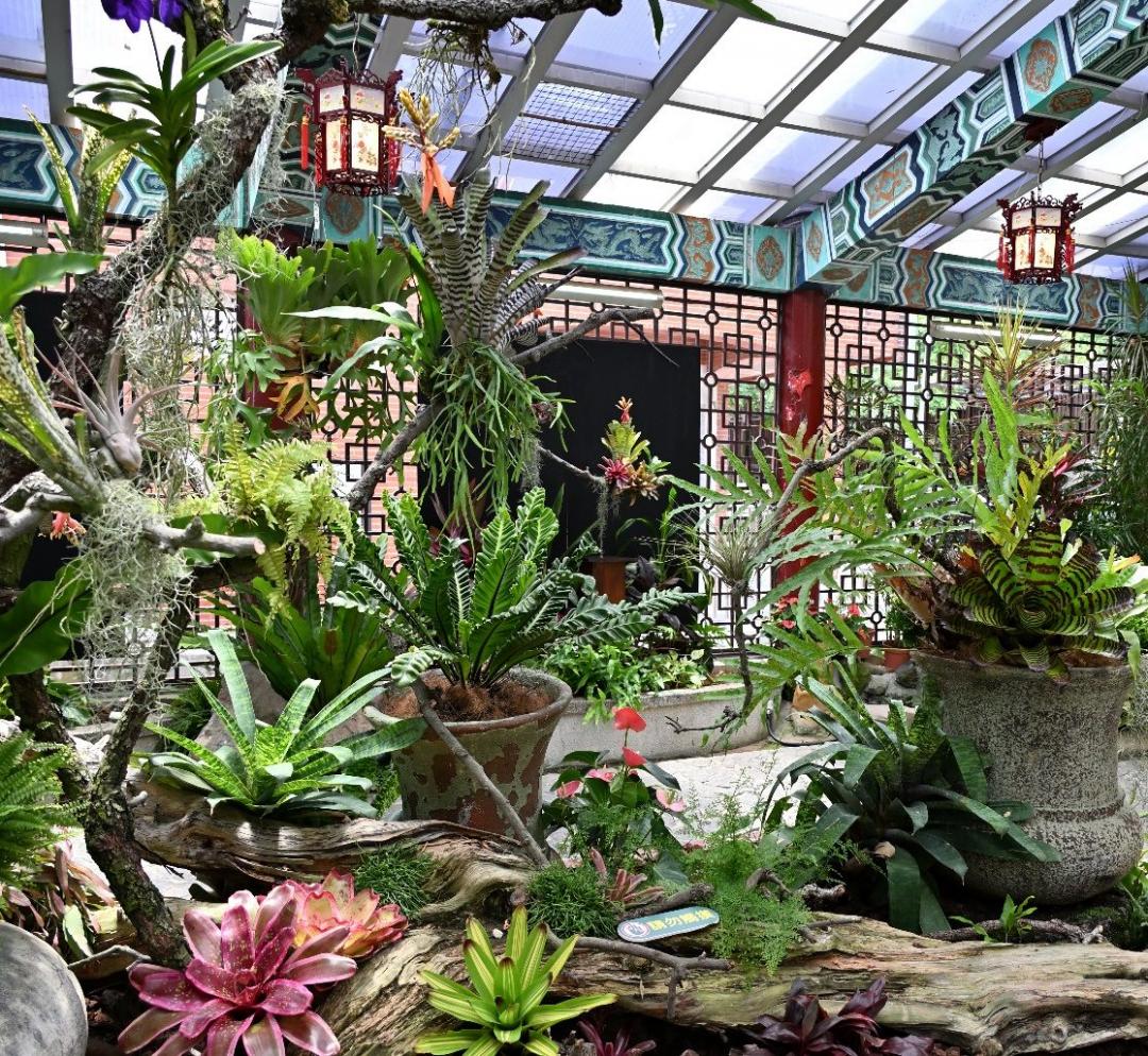 多種植栽錯落交織，展現植物原棲地的分布位置與生長特性。（圖／士林官邸提供）