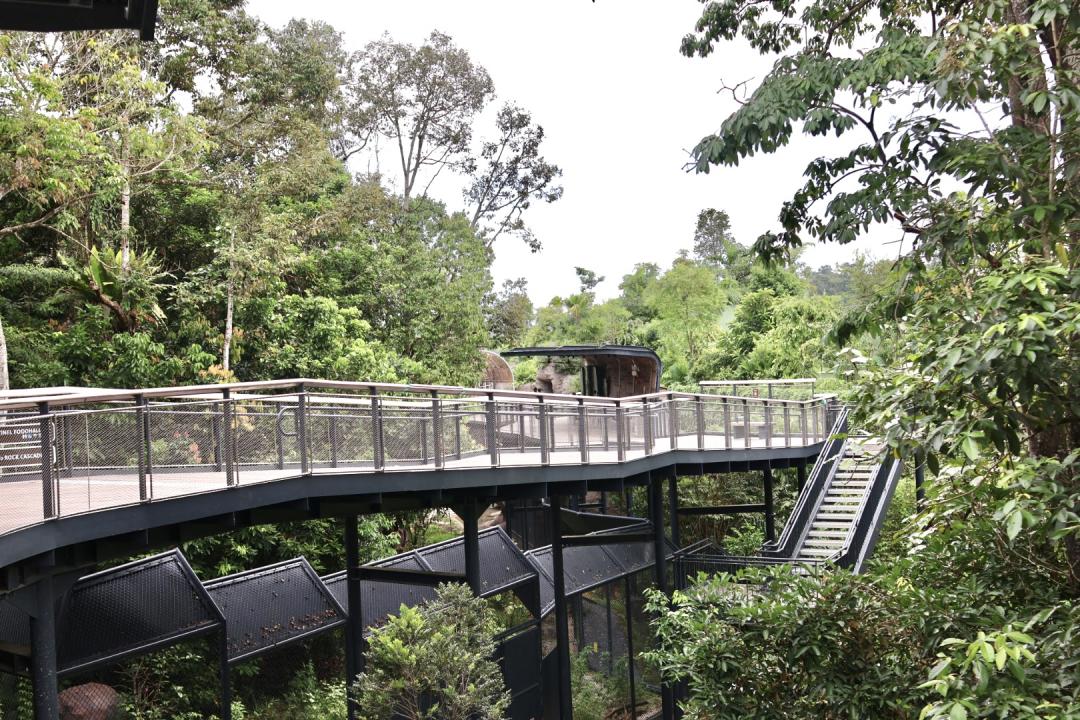 亞洲雨林探險園結合熱帶雨林、洞穴、懸崖等環境，踏入園區可欣賞不同的森林植物美景。