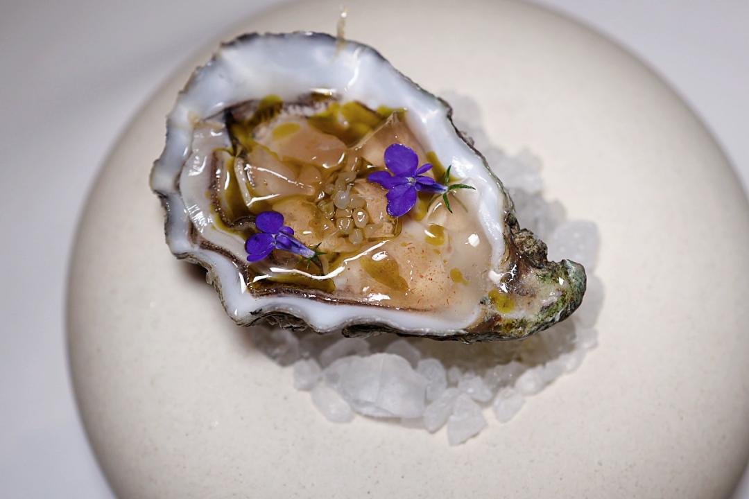 「法國 Cuvée 生蠔」搭配晶瑩愛玉凍與海苔油點綴，凸顯夏日清爽的口感。（圖／記者郭宣暄攝）